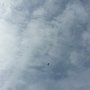 ø;����K�������-��i<br />����xV4xV4xV4xV4�������`�U>�è������ÿÿ�����������������������������ýý������������������������������������������������������������������������������������������������������������������������������������������������������������������������������������������������������������������C�A�L�ZDFE02����Cur.ZDFI02CML�018001001509FD0901090109010D010D010D090Dï�(bë&������T�U�N�A���Ð-�ç�����R�ÑUÿÿÝ��_ÕÿÿL�Þÿÿ��ÔUÿÿ«���FLFL�SVN#

	�������������������������������������������������������������������������������������������������������������������®����Ð-�ýý	�	Z	åÿ������������������������PE����������������������������������������������������I�(���������������<br />1�
��8���������������������������������������������������������������������������������������������������������������������������������������������������������������������������������������������������������������������������������������������������������������JKJK	ë��9�Ýx��¸��Â����B
�����-��������������Wè����@�ç�����R�ÑUÿÿÝ��_ÕÿÿL�Þÿÿ��ÔUÿÿ«�JKJK	���������"�"�"�"�"�"�"�"�"�"�"�����������"�"�"�"�"�"�"�"�"�"�"�����������"�"�"�"�"�"�"�"�"�"�����������"�"�"�"�"�"�"�"�"�"�"�����������"�"�"�"�"�"�"�"�"�"�"�������������"�"�"�"�"�"�"�"�"�"�"�����������"�"�"�"�"�"�"�"�"�"�"�����������"�"�"�"�"�"�"�"�"�"�"���������"�"�"�"�"�"�"�"�"�"�"�"���������"�"�"�"�"�"�"�"�"�"�"�"���������"�"�"�"�"�"�"�"�"�"�"�"�������"�"�"�"�"�"�"�"�"�"�"�"�"�������"�"�"�"�"�"�"�"�"�"�"�"�"�������"�"�"�"�"�"�"�"�"�"�"�"�"���������"�"�"�"�"�"�"�"�"�"�"�"���������"�"�"�"�"�"�"�"�"�"�"���JKJKç�ðÿ��Û�cé���ä�������������������������������������������������������������������������������������������������Dè�öÿ��0�Dè�öÿ��0�Dè�öÿ��0�Dè�öÿ��0�������������0�lác�h���,����������������������������������������������������������������������������������������������������������������������������������������������������������������������������������������������������������������������������������������������������������������	ýAFAF�¨7�9�±<br />�¹Jd��øäd�çG��ÁÓG��çç*��Æ*��ôÊh����h����
�¾
�²E¢�"¢�L»��fð»�%¹����¹����²��"ý²�49«�V<br />«�\G¤�¤�T�É�×]�
#�IX�Í�S��9R
����
����
����
����
����
����������AFAF�ZD�¬AFAFä���������������������������������������������������������������������������������������������������������������������������������������������������������������������������������������������������������������������������������������������������������������������������������������������������������������������������������������Þ°ô����
����� <br />����X
�¤x�R¼�)Þ�)Þ�s�s�\&ºÆ³��6n��������������������������������������������������������������������������������������������������������������������������������������������������������������������������������������������������������������������������������������������������������������������������������������������������������������������������������������������������������������������������������������������������������������������������������������������������������������������������������������������������������������������������������������������������������������������������������������������������������������������������������������������������������������������������������������������������������������������������������������������������������������������������������������������������������������������ÎFßWðÞ¼úË�4�*×¶��@;ráâ