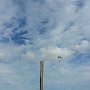 ø;����K�������á��<br /><br />��°��xV4xV4xV4xV4�������`�3J�è������ÿÿ'/�����������������������������ýý������������������������������������������������������������������������������������������������������������������������������������������������������������������������������������������������������������������C�A�L�ZDFE02����Cur.ZDFI02CML�018001001509FD0901090109010D010D010D090Dï�(bë&������T�U�N�A���Ðá�¤¤<br />Oá�����è�àUÿÿ8��ÔÿÿK�ãßÿÿÉ��WTÿÿà���FLFL�SVN#

	�������������������������������������������������������������������������������������������������������������������®����Ðá�±¤<br />¤<br />±	�~	Z	ßÿ������������������������&J"����������������������������������������������������`�*�J��������������º�,�
��8���������������������������������������������������������������������������������������������������������������������������������������������������������������������������������������������������������������������������������������������������������������JKJK	ë��9�Ýx��¸��Â����B
�����á�����¤<br />���������há�����Oá�����è�àUÿÿ8��ÔÿÿK�ãßÿÿÉ��WTÿÿà�JKJK����"�"�"�"�"�"�"�"�"�"�"�"�"�"���"�"�"�"�"�"�"�"�"�"�"�"�"���"�"�"�"�"�"�"�"�"�"�"�"�"�"�"�"�"�"�"�"�"�"��"�"�"�"�"�"�"�"�"�"���"�"�"�"��"�"�"�"�"�"�"�"�"�"�"�"�"�"�"��"�"�"�"�"�"�"�"�"�"�"�"�"����"�"�"�"�"�"�"�"�"�"���"�"�"�"�"�"�"�"�"�"�"���"�"�"�������"�"�"�"�"�����"�"��"�"�"�"�"�"�"�"�"�"�"�"�"���"�"�"�"�"�"�"�"�"�"�"�"�"�"�"�"�"�"�"�"�"�"�"�"�"�"�"�"�"�"�"�"�"�"���"�"�"�"�"�"�"�"�"�"�"�"�"�"�"�"�"�"�"�"�"�"�"�"�"�"�"�"�"�"�"�"�"�"�"�"�"�"�"��"�"�"�"�"�"�"�"��2w�!"�!"��"�������������JKJKö����Ü�åÿ��e�������������������������������������������������������������������������¦����½�������������ìá�1��§�Äá�1��Ô�Äá�1��Ô�Äá�1��Ô�������������M� ¥����¦����������������������������������������������������������������������������������������������������������������������������������������������������������������������������������������������������������������������������������������������������������������	ýAFAF��xX)�Ð)�±
F�çF�êÝc�c�·Ç�LV�¢��H¶�WÜ¶�¼£´����´����­�ëþ­�¦�|+¦�û7�Â?�$d�·D�+r�Ñ,�T2�Óõ�`Ã�Ãø�2¾��������z����z����]����]����@����@����#����#����������AFAF�ZD�AFAFä���������������������������������������������������������������������������������������������������������������������������������������������������������������������������������������������������������������������������������������������������������������������������������������������������������������������������������������Þ°ô����
����� <br />����X
�¤x�R¼�)Þ�)Þ�s�s�\&ºÆ³��6n!��!����������������������������������������������������������������������������������������������������������������������������������������������������������������������������������������������������������������������������������������������������������������������������������������������������������������������������������������������������������������������������������������������������������������������������������������������������������������������������������������������������������������������������������������������������������������������������������������������������������������������������������������������������������������������������������������������������������������������������������������������������������������������������������������������������������#��%��'��)��ÎFßWðÞ¼ëa�4�0u0��@;ráâ