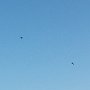 Og der var højt til loftet for små flyvere